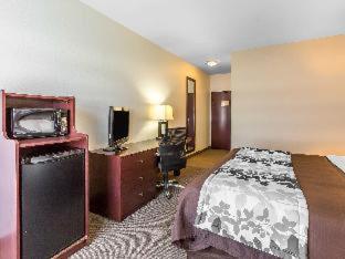Sleep Inn & Suites Bush Intercontinental - Iah East Humble Δωμάτιο φωτογραφία